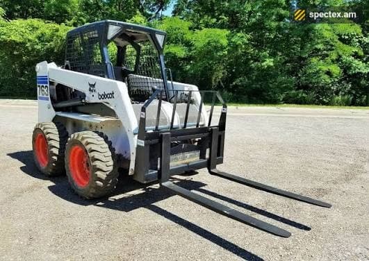 Bobcat (2024)