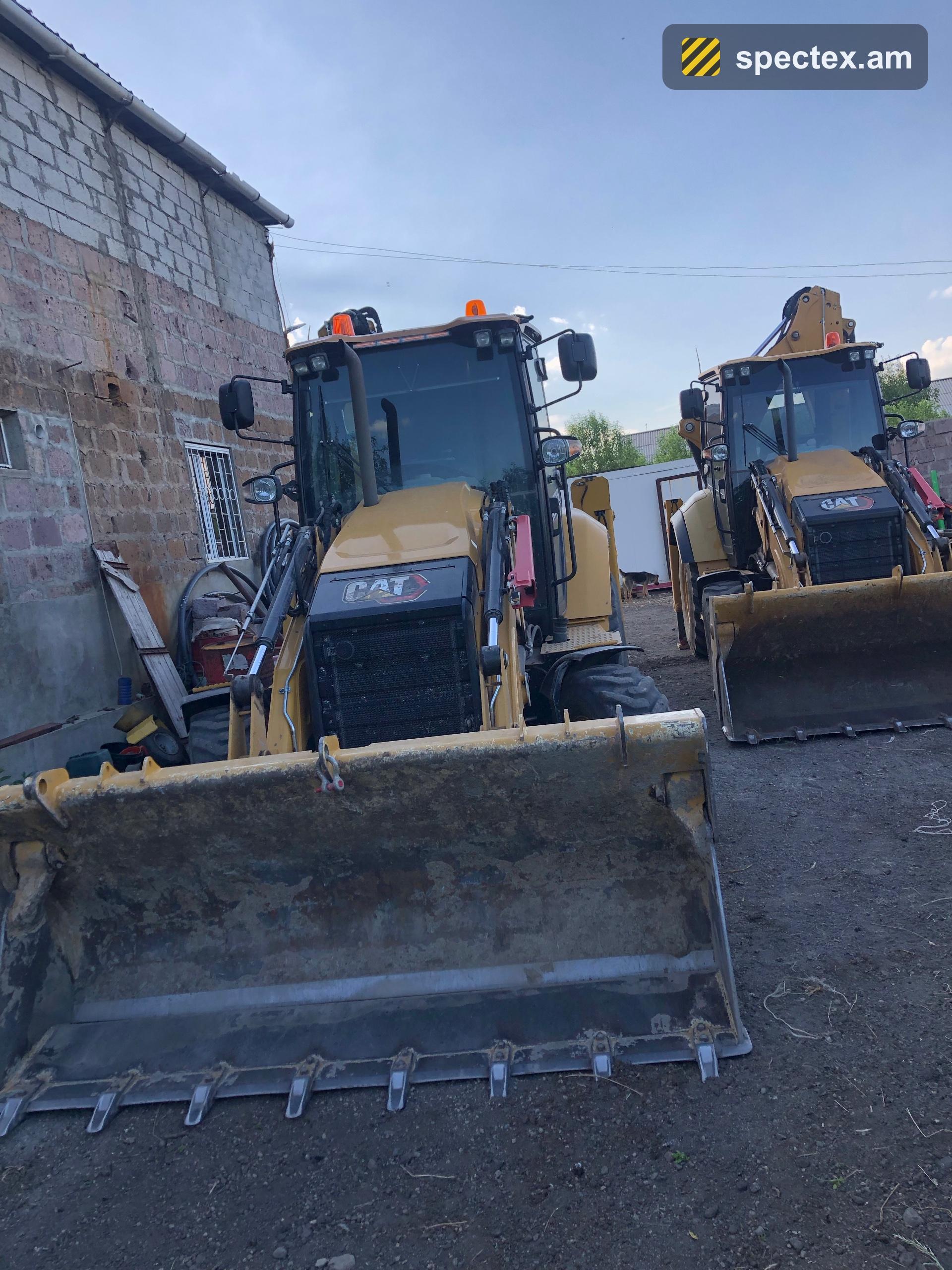 Cat 428 (2022)